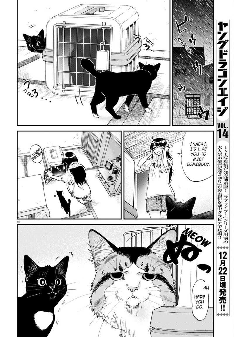 Hosomura San To Neko No Otsumami 12 16