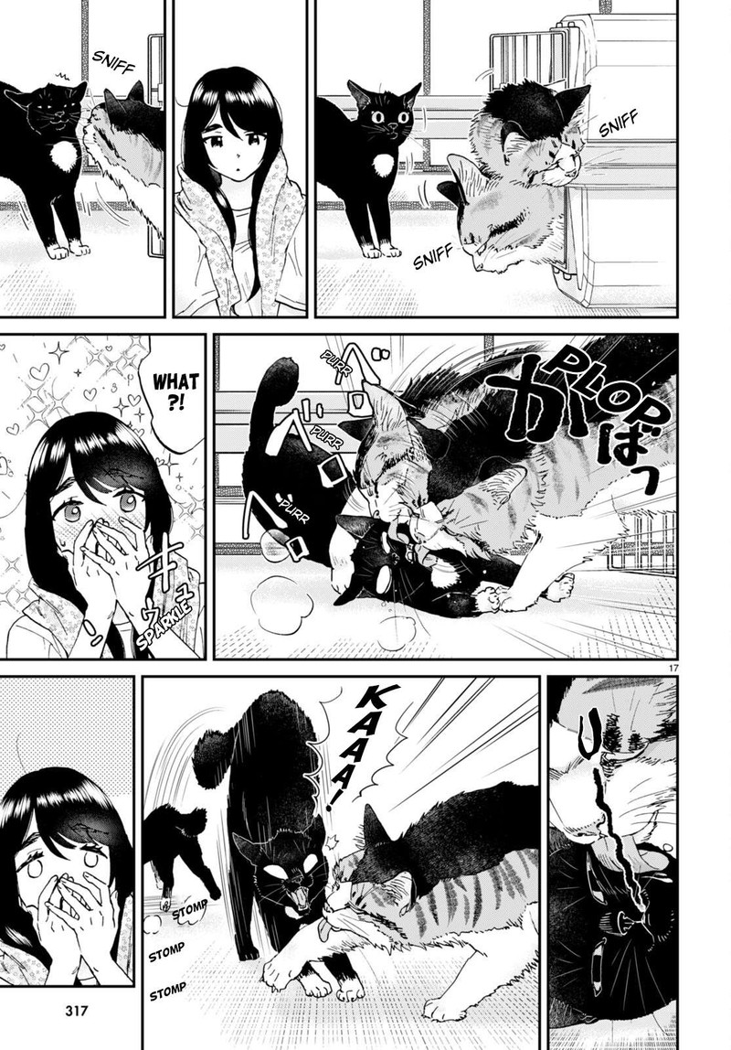Hosomura San To Neko No Otsumami 12 17