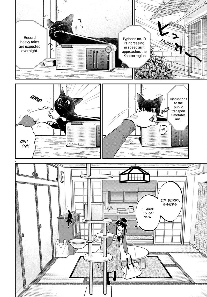 Hosomura San To Neko No Otsumami 12 2
