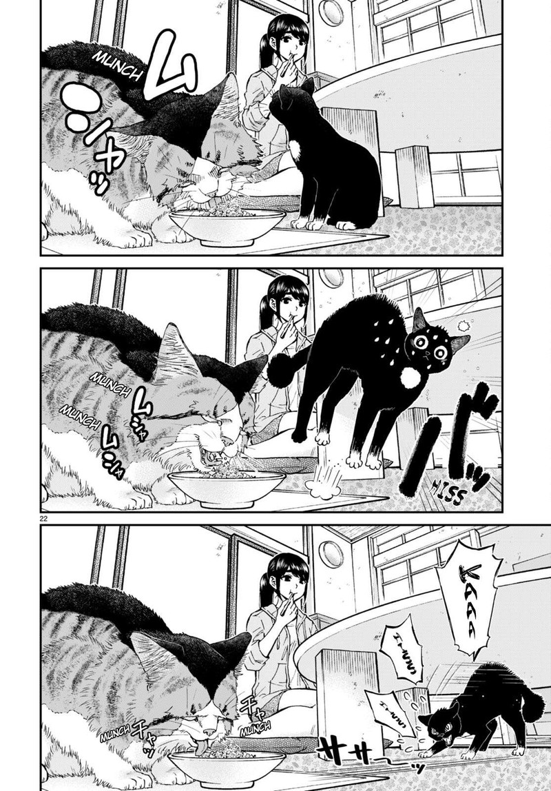 Hosomura San To Neko No Otsumami 12 22