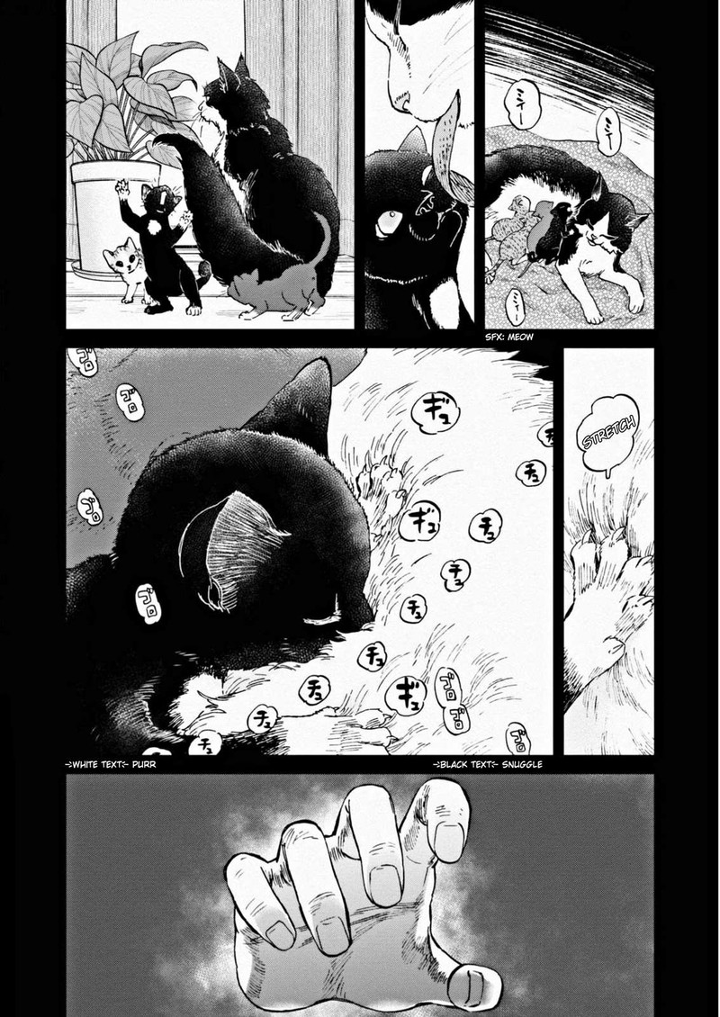 Hosomura San To Neko No Otsumami 7 2