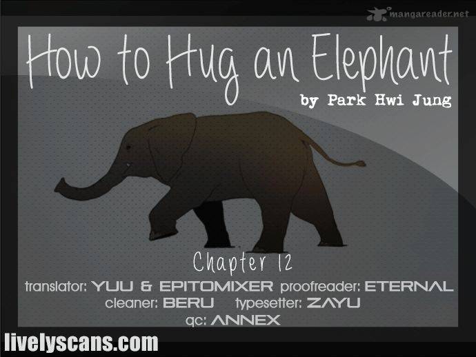 How To Hug An Elephant 12 1