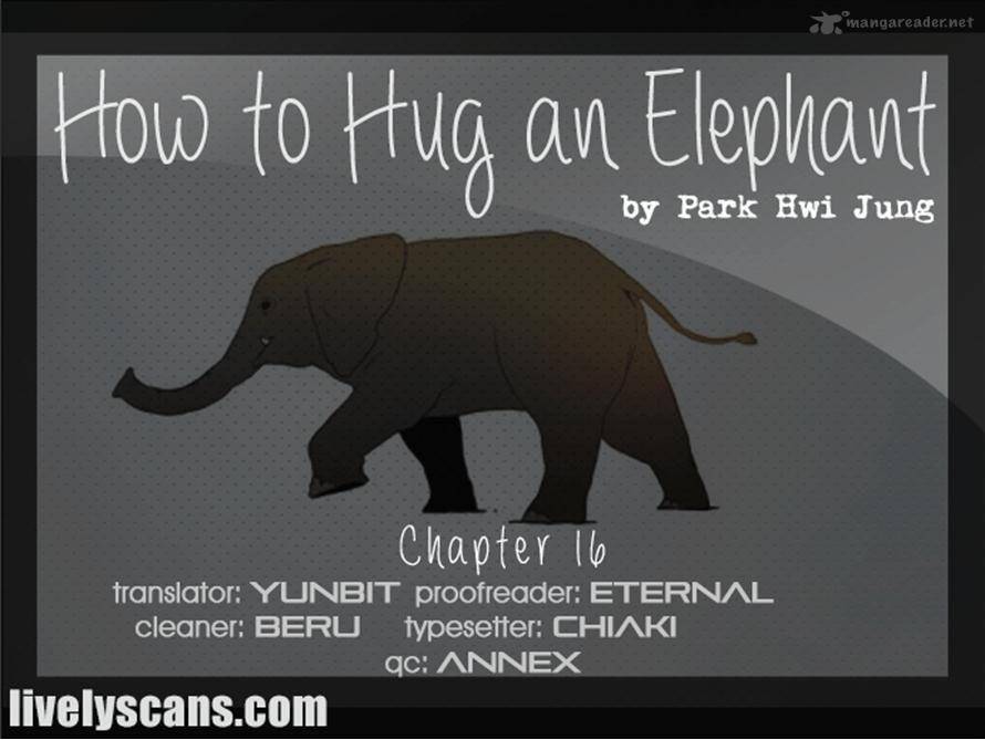 How To Hug An Elephant 16 17