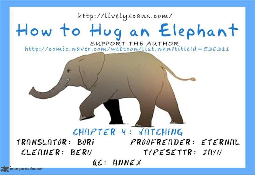 How To Hug An Elephant 4 16