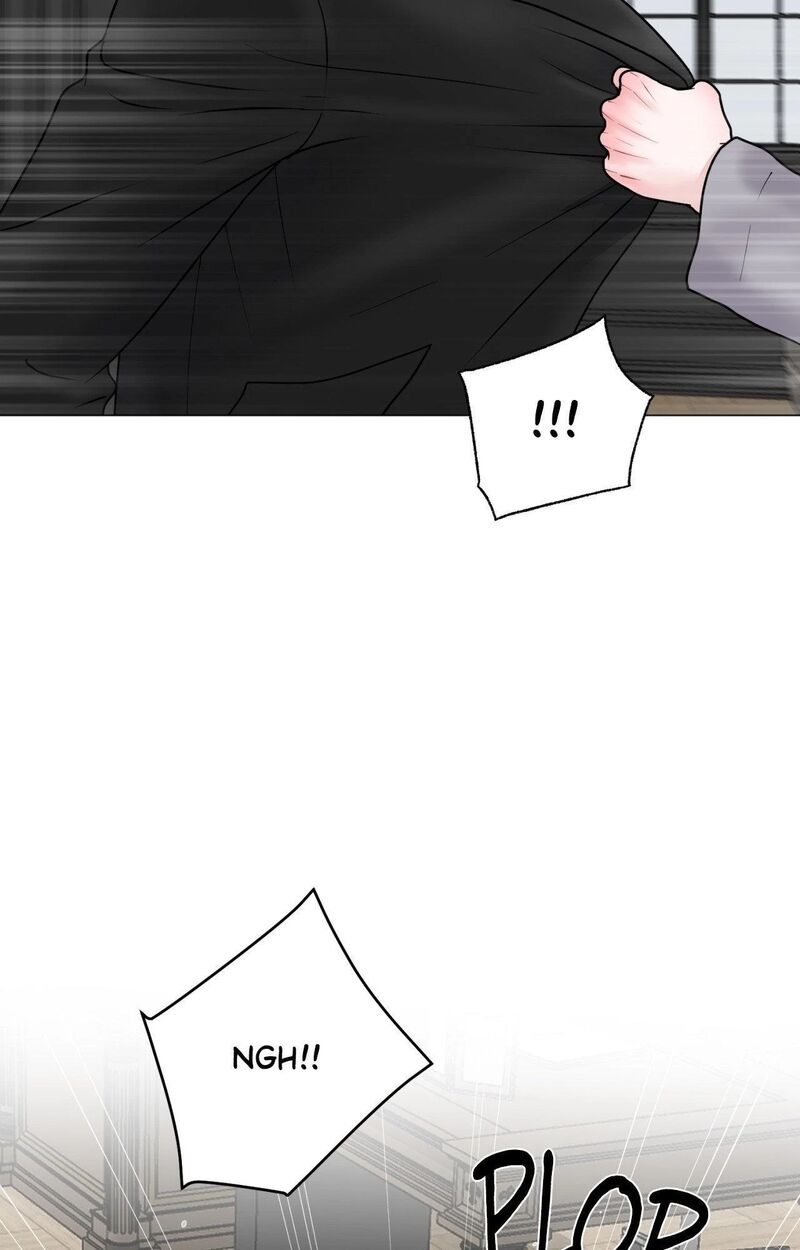 Illusion 24 47