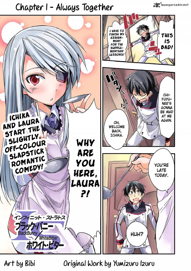 Infinite Stratos Black Bunny White Bitter 1 1