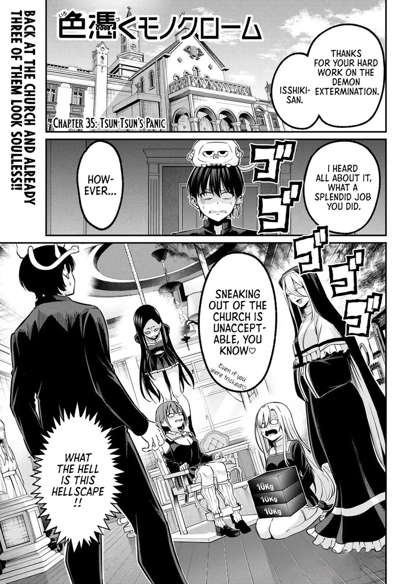 Irozuku Monochrome 35 1