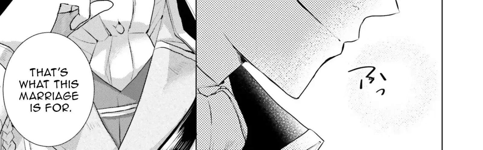 Isekai Kara Seijo Ga Kuru You Na No De Jamamono Wa Kieyou To Omoimasu 8 26