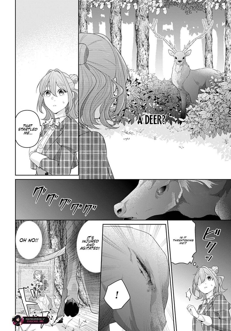 Isekai Shitateya Sofia Binbou Reijou Gendai Chishiki De Fuku Wo Tsukutte Minna No Kurashi Wo Yutaka Ni Shimasu 30b 7
