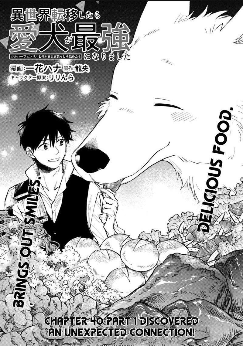 Isekai Tensei Shitara Aiken Ga Saikyou Ni Narimashita 40 1