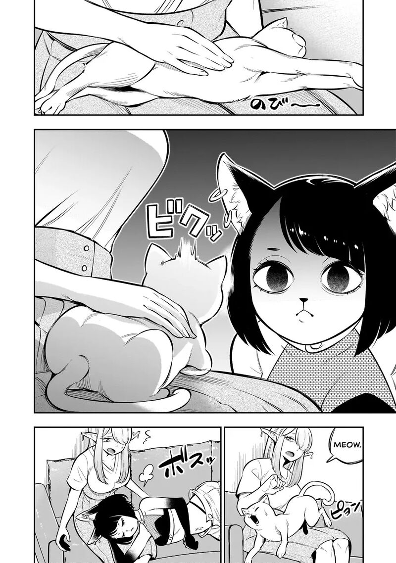 Ishuzoku Tsuihou Concafe 8 12