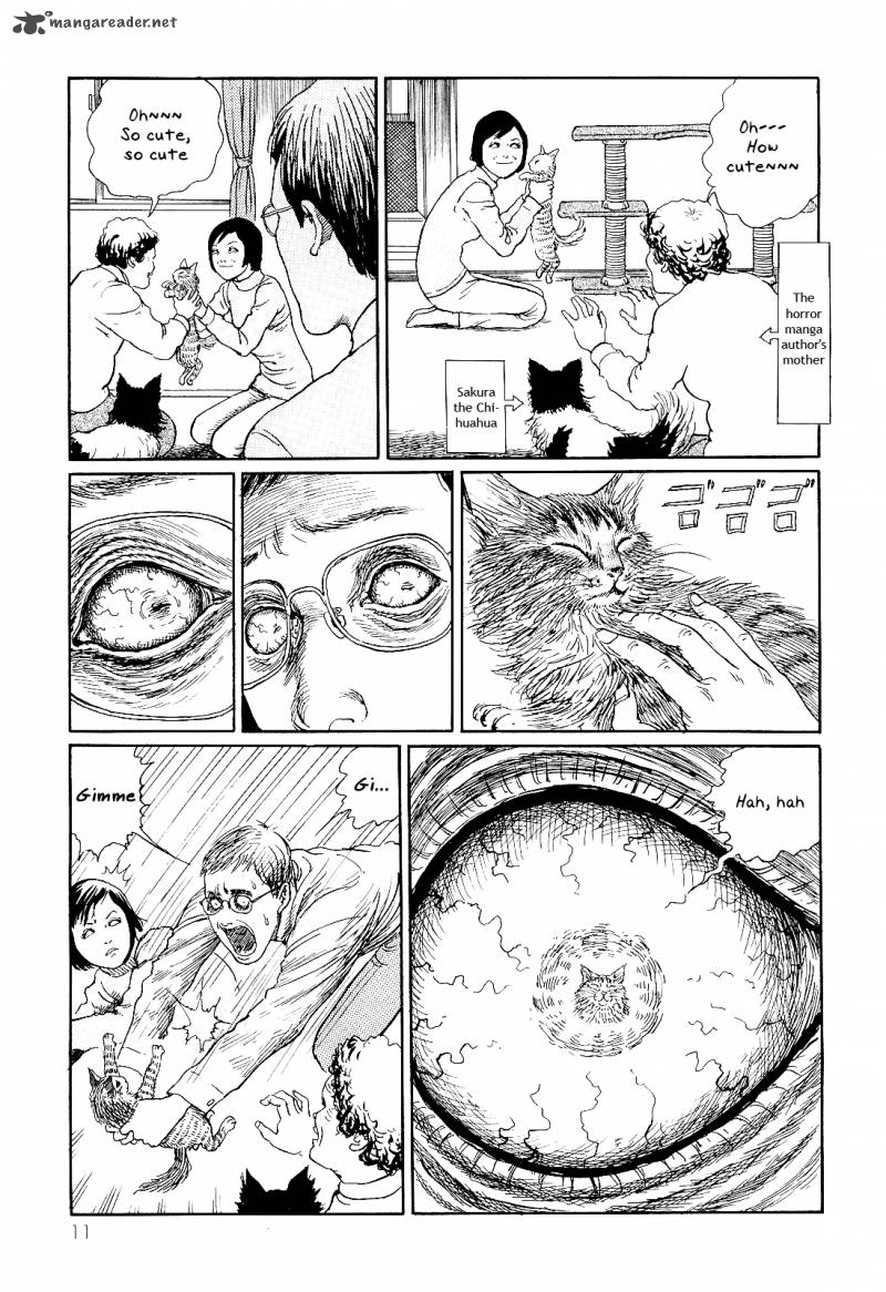 Ito Junjis Cat Diary 1 15