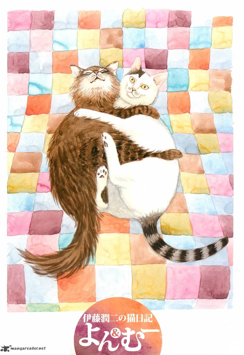 Ito Junjis Cat Diary 1 5