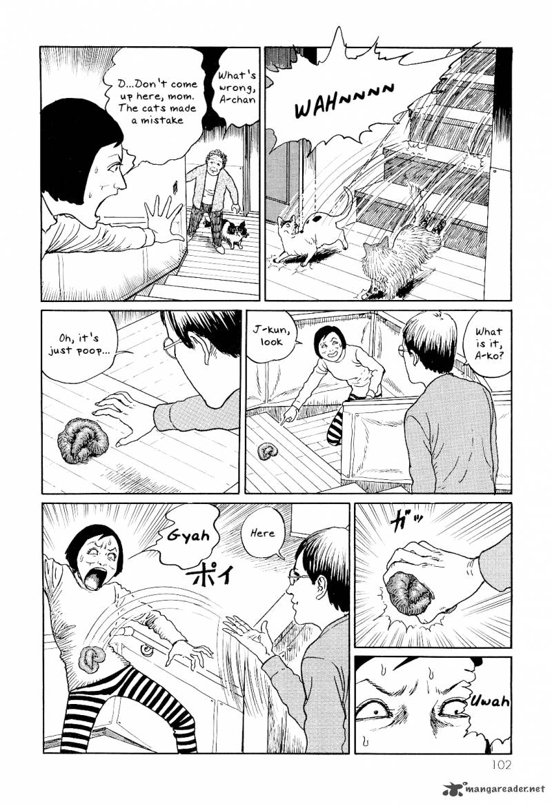 Ito Junjis Cat Diary 10 2