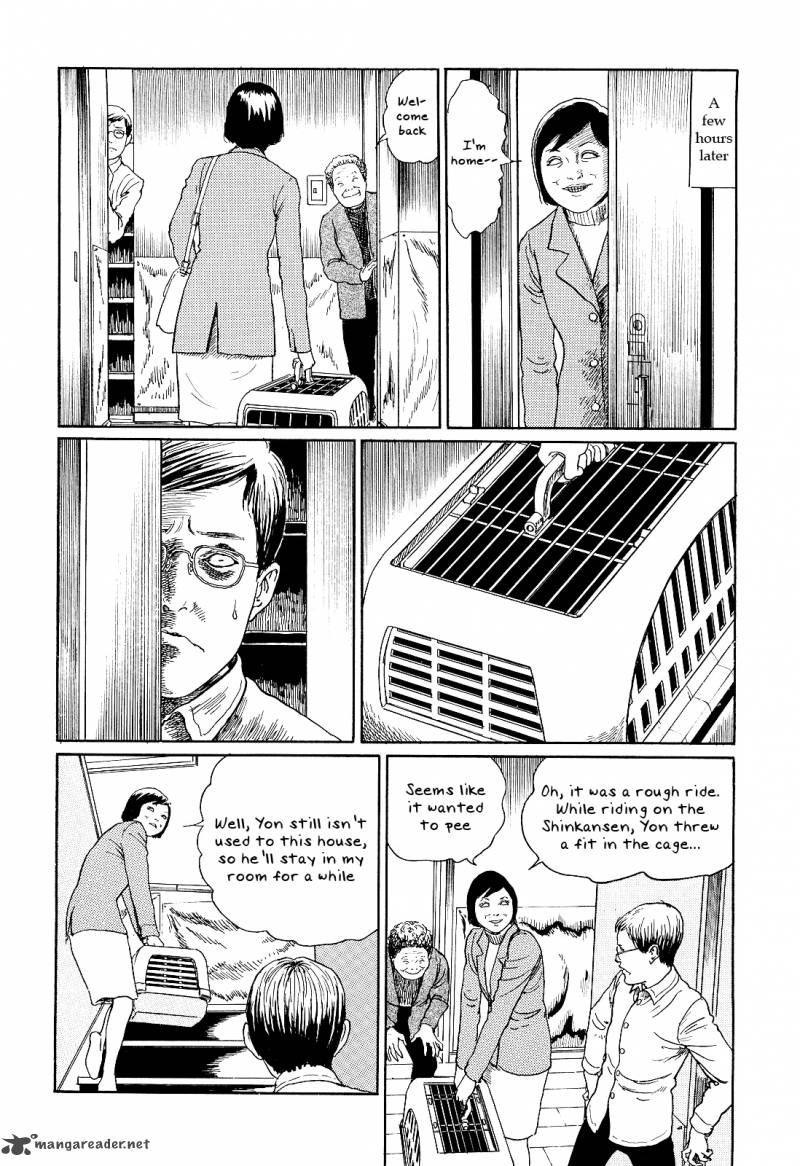 Ito Junjis Cat Diary 2 2