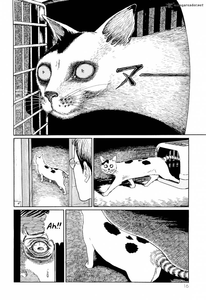 Ito Junjis Cat Diary 2 4