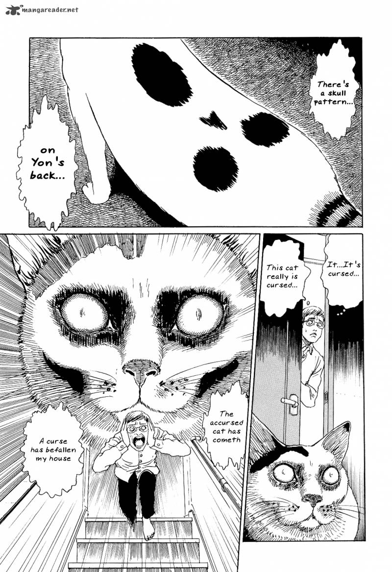 Ito Junjis Cat Diary 2 5