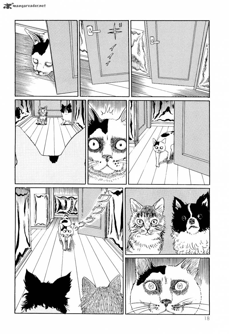 Ito Junjis Cat Diary 2 6