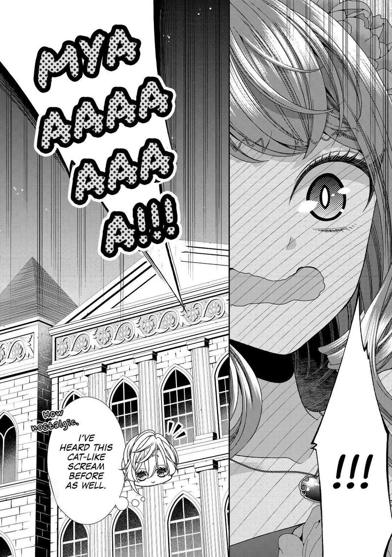 Jishou Akuyaku Reijou Na Konyakusha No Kansatsu Kiroku 26 30