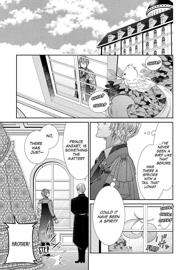 Jishou Akuyaku Reijou Na Konyakusha No Kansatsu Kiroku 33 29