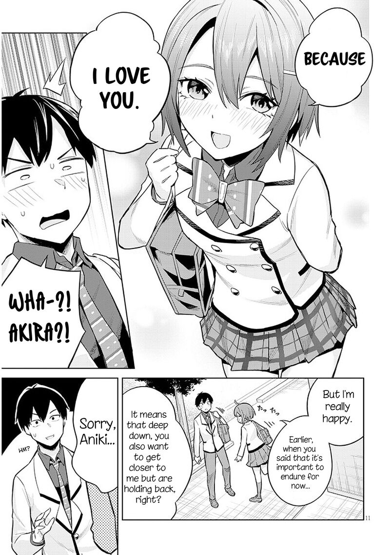 Jitsu Wa Imouto Deshita 11 11