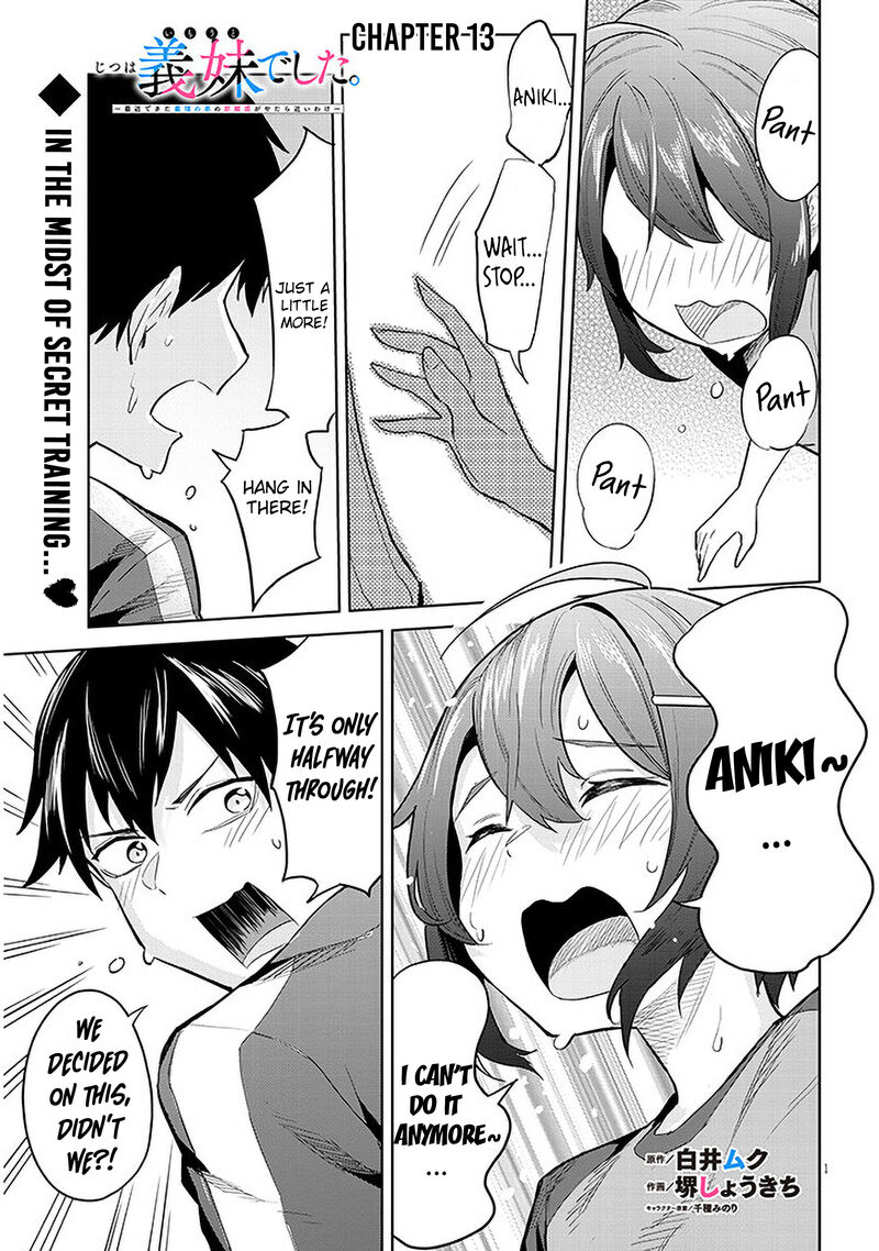 Jitsu Wa Imouto Deshita 13 1