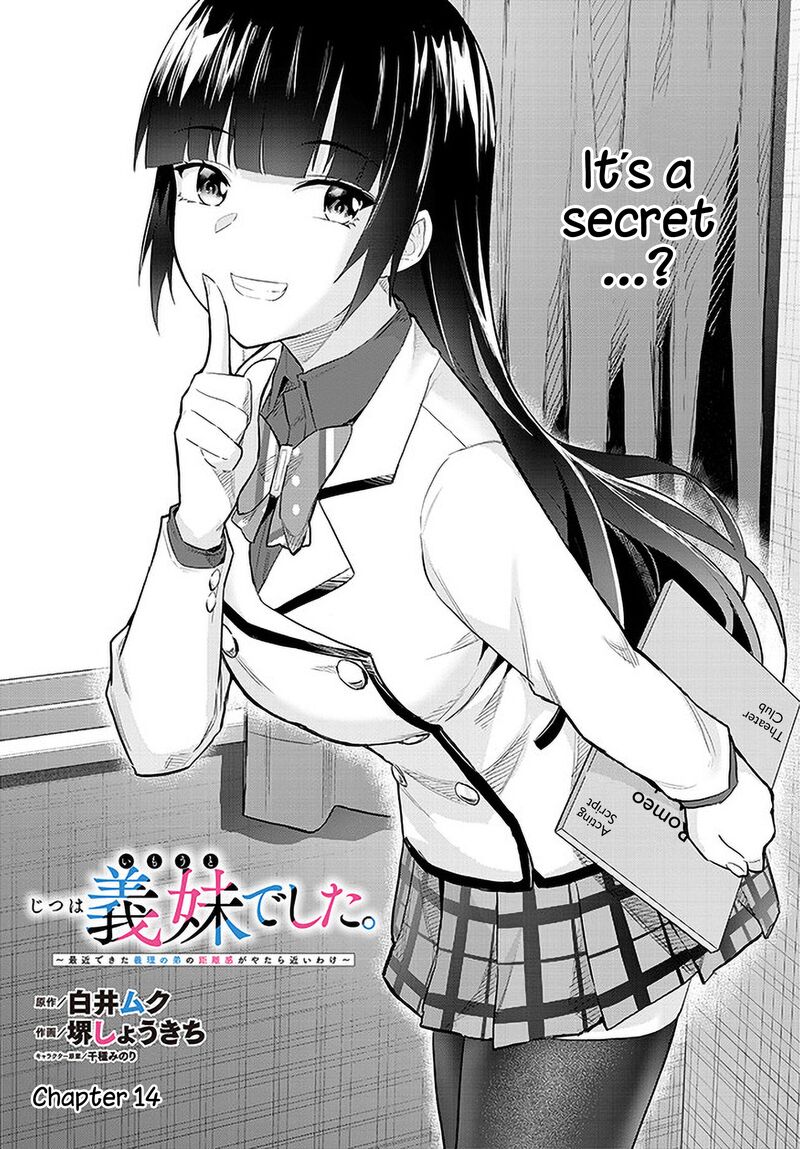 Jitsu Wa Imouto Deshita 14 1