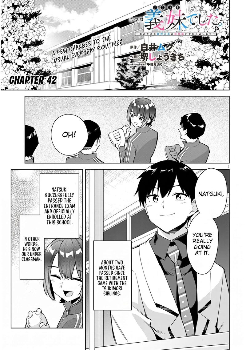 Jitsu Wa Imouto Deshita 42 2