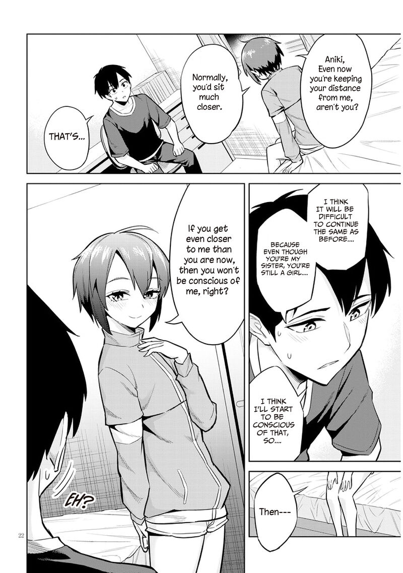 Jitsu Wa Imouto Deshita 5 22