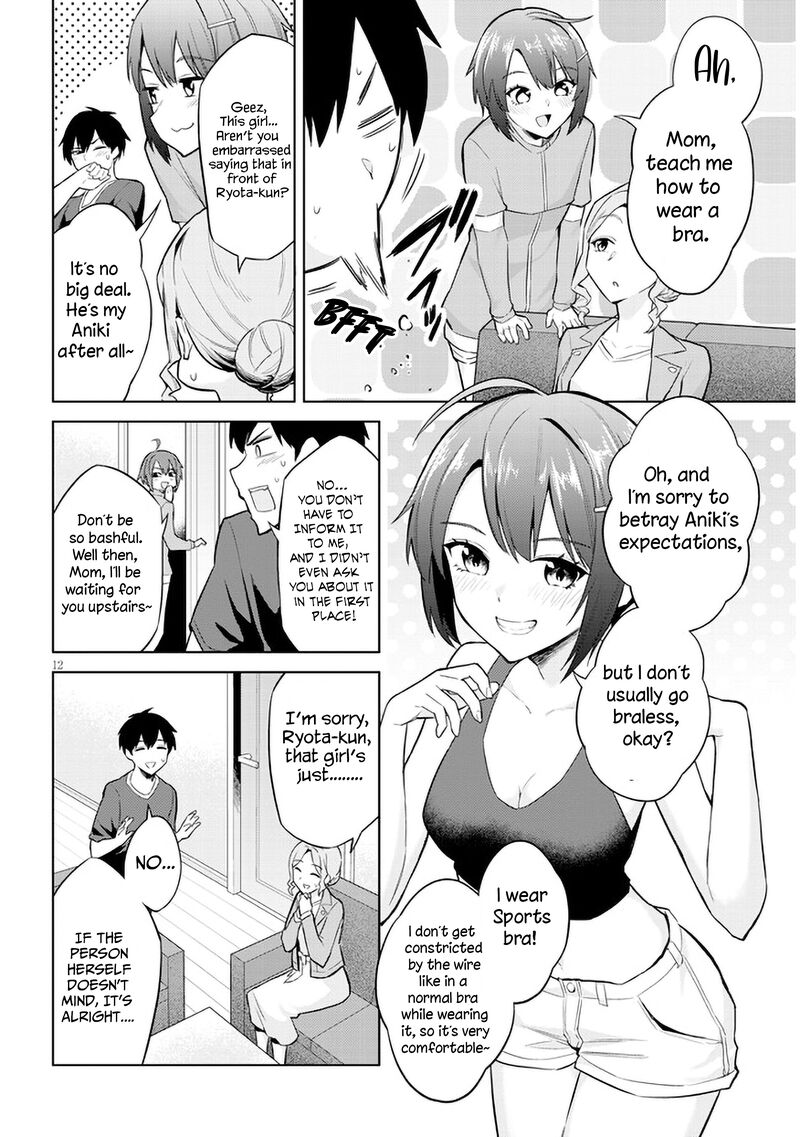 Jitsu Wa Imouto Deshita 6 12