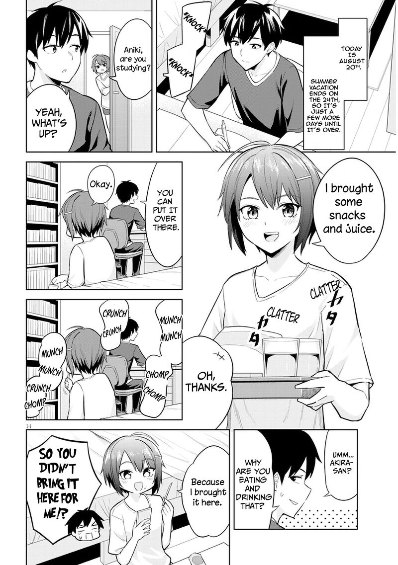 Jitsu Wa Imouto Deshita 6 14