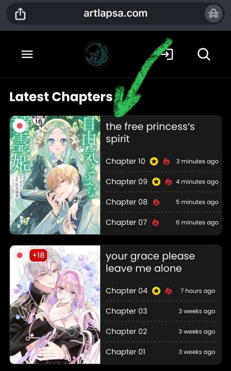 Jiyuu Kimama Na Seireihime 1 1