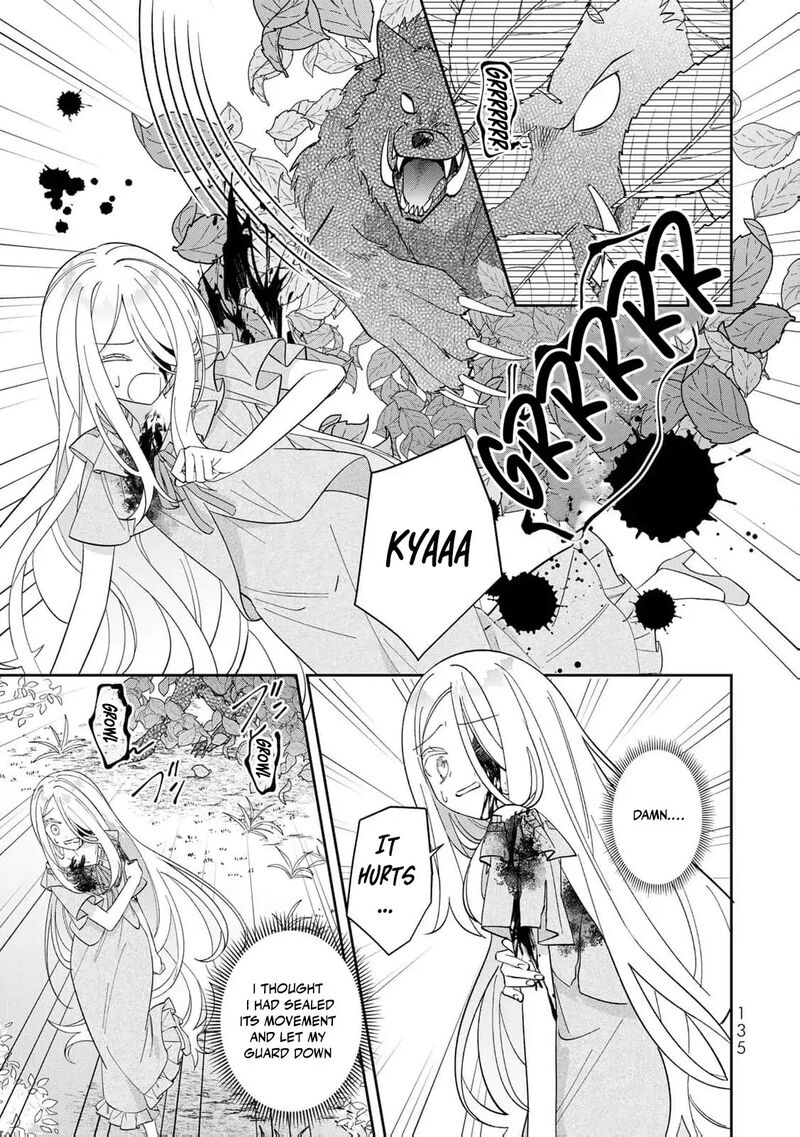 Jiyuu Kimama Na Seireihime 4 14