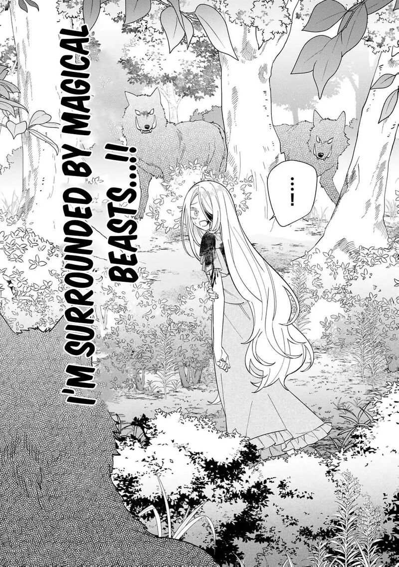 Jiyuu Kimama Na Seireihime 4 16