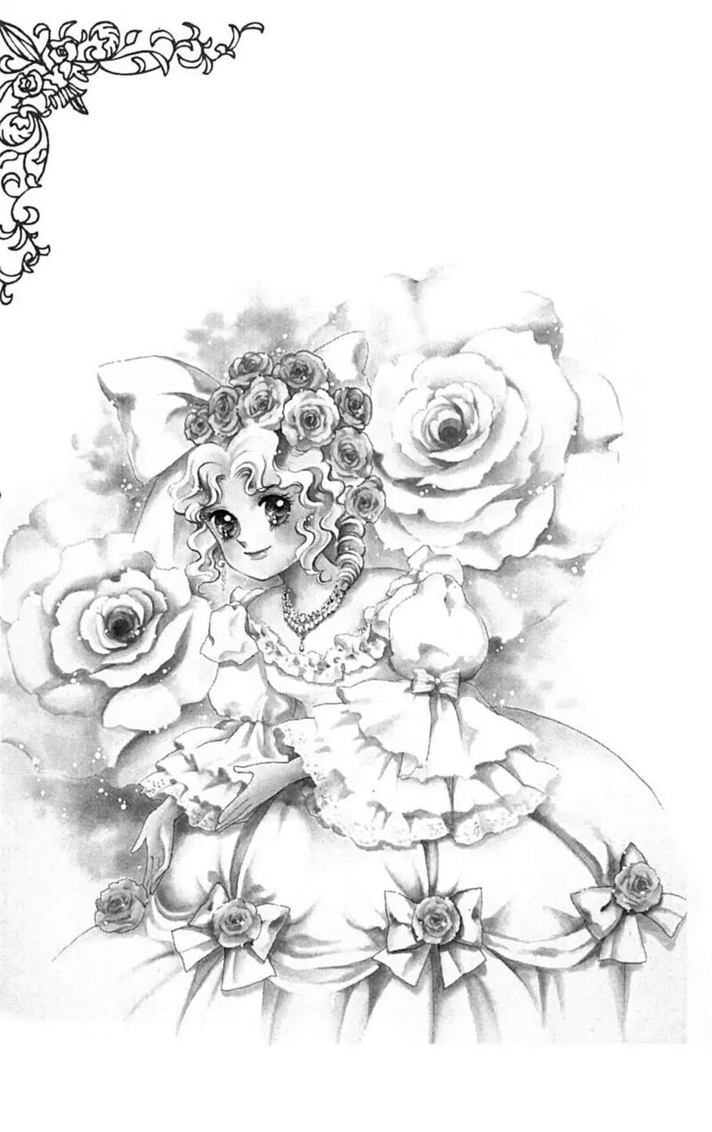Josephine The French Rose 2 2