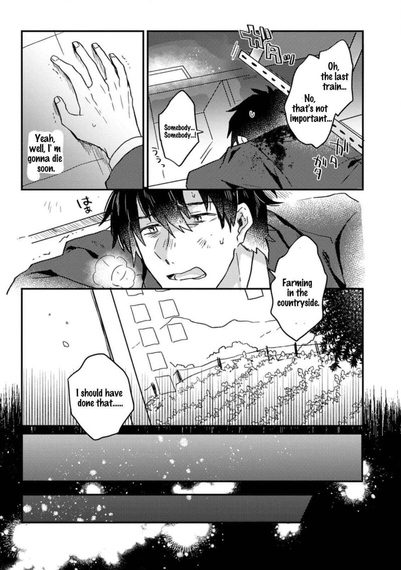 Kamigami No Kago De Seisan Kakumei 1a 4