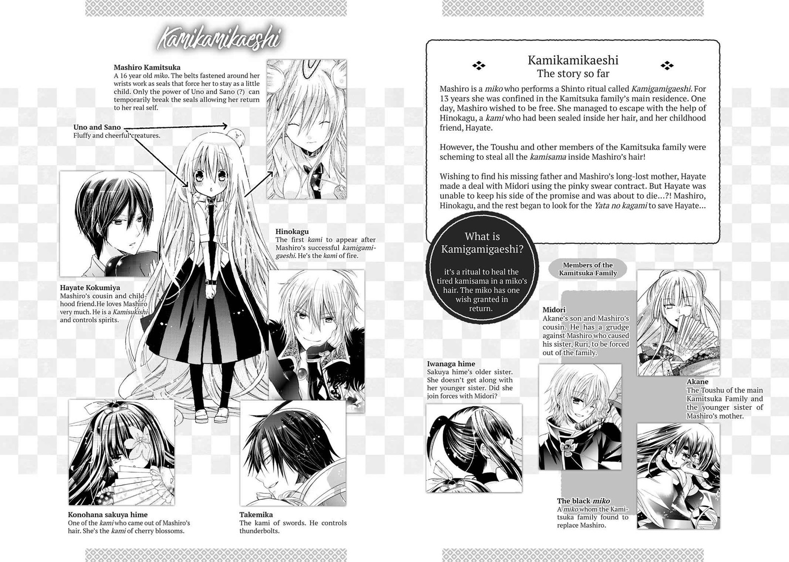 Kamikami Kaeshi 14 3