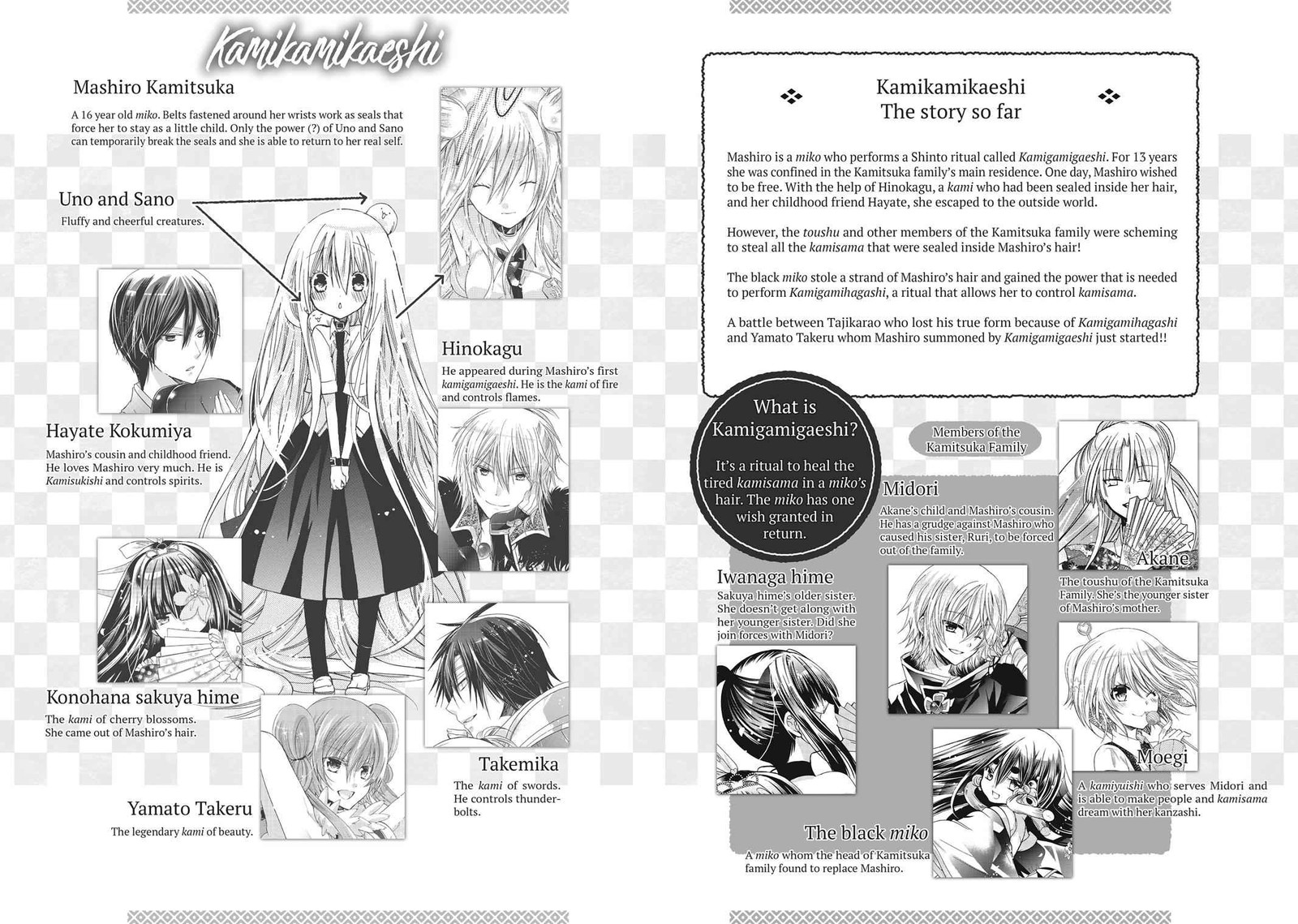 Kamikami Kaeshi 18 3