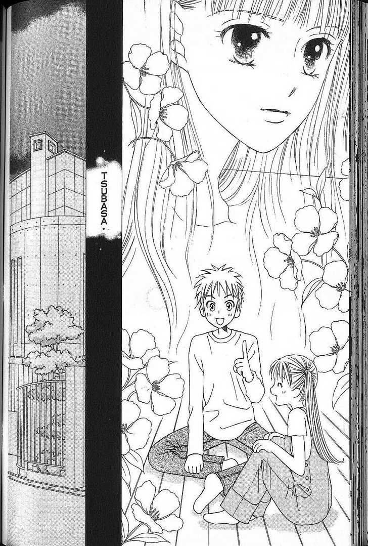 Kare Kano 52 8