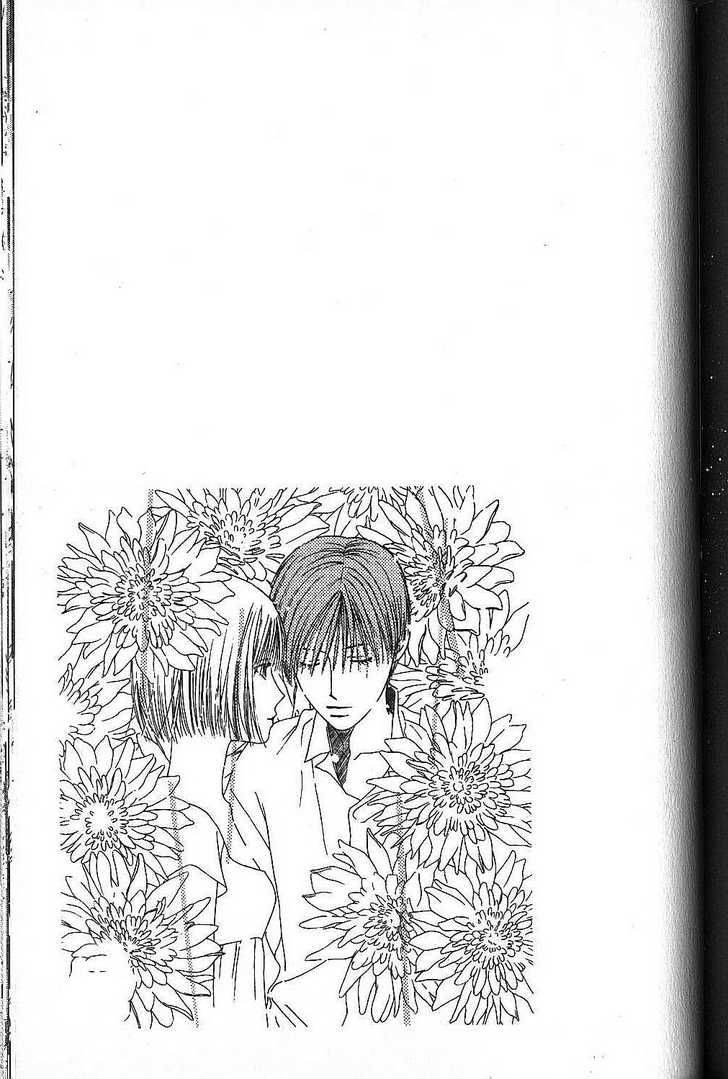 Kare Kano 67 33