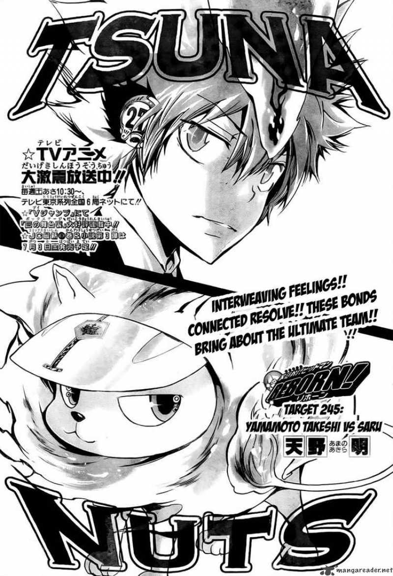 Katekyo Hitman Reborn 245 1