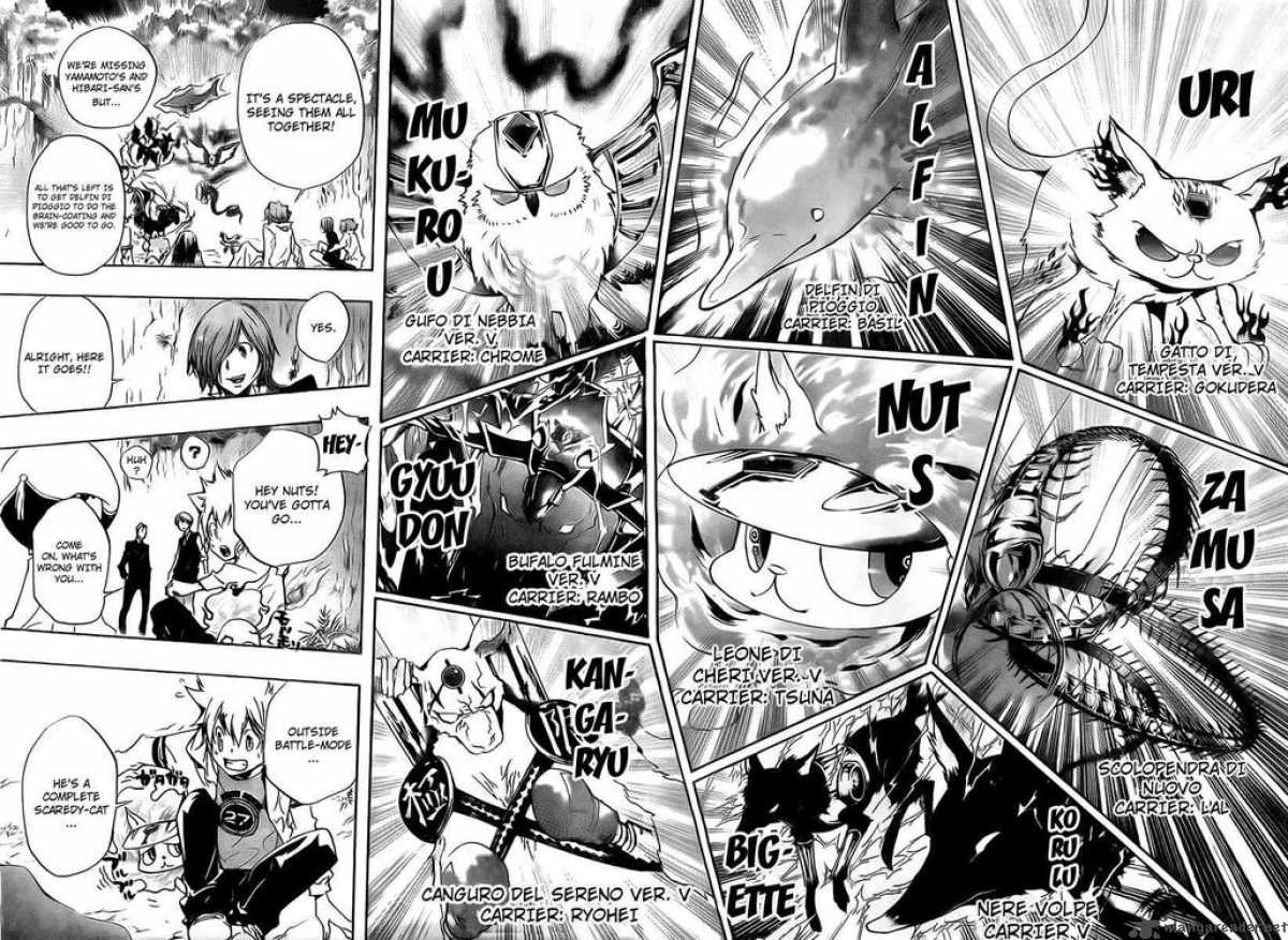 Katekyo Hitman Reborn 265 8