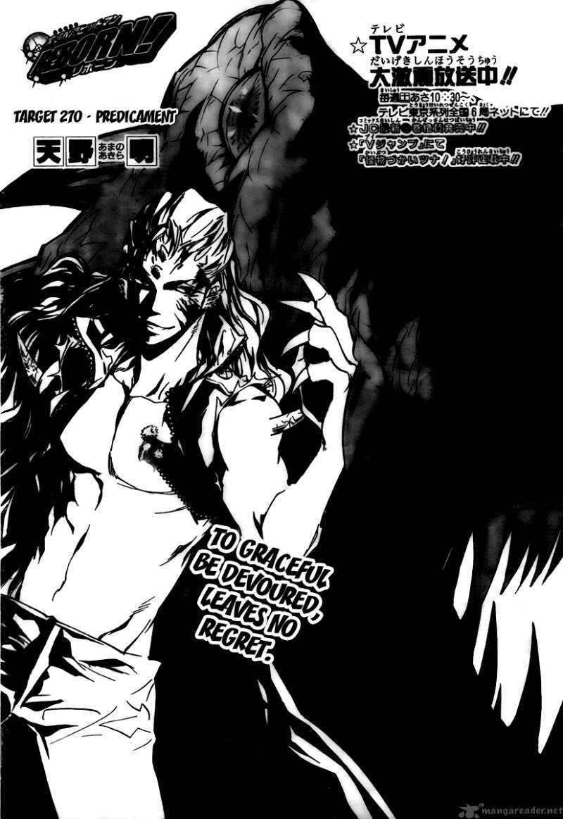 Katekyo Hitman Reborn 270 1