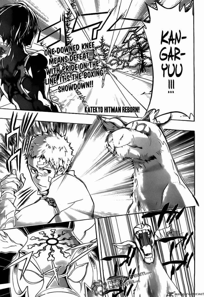 Katekyo Hitman Reborn 304 1