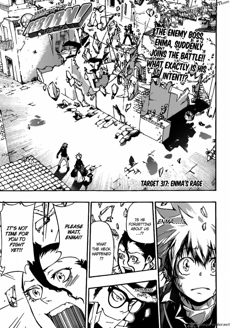 Katekyo Hitman Reborn 317 1