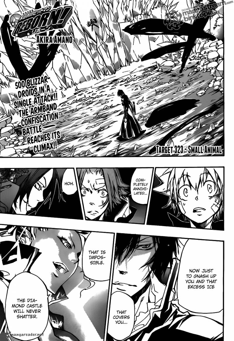 Katekyo Hitman Reborn 323 1