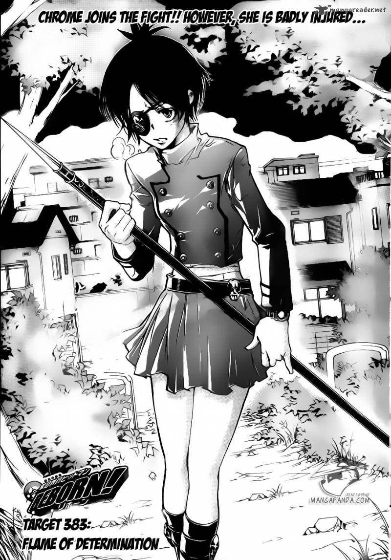 Katekyo Hitman Reborn 383 1