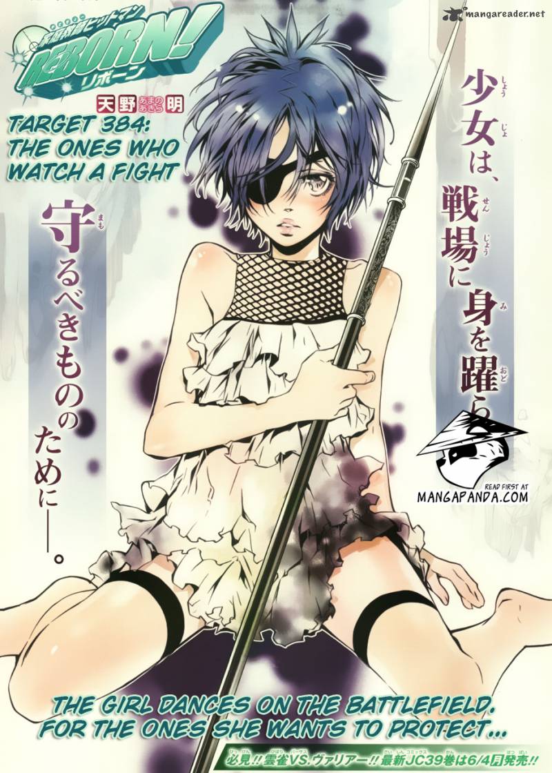 Katekyo Hitman Reborn 384 1