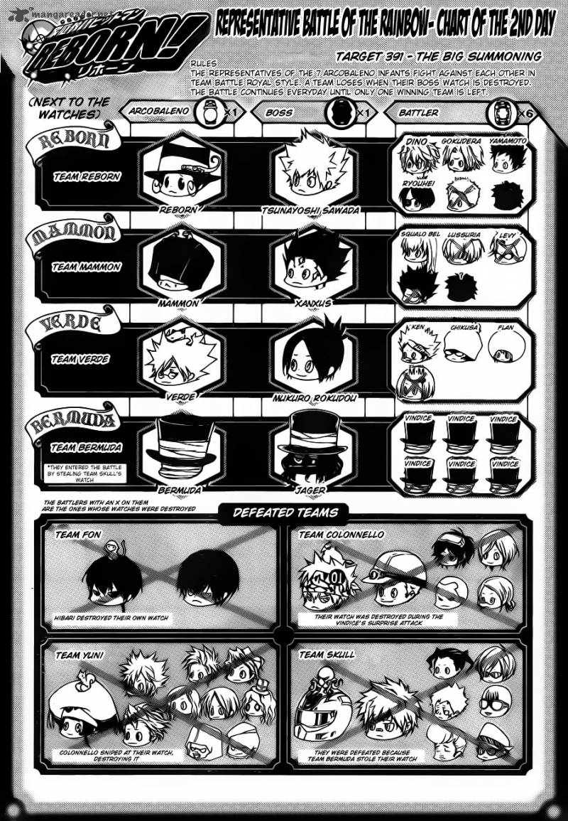 Katekyo Hitman Reborn 391 1