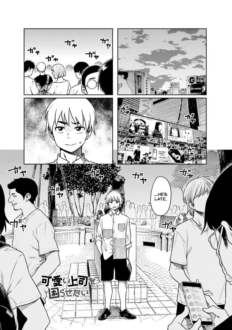 KawaII Joushi O Komasaretai 48 1